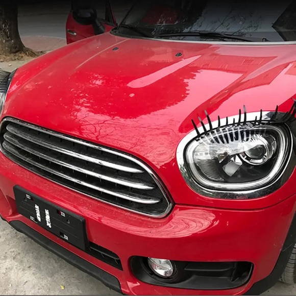 Car Lashes - Picture 10 of 11